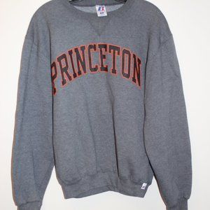 Princeton College Sweatshirt; Gray, Adult Sz Small